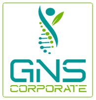 GNS Corporate Logo